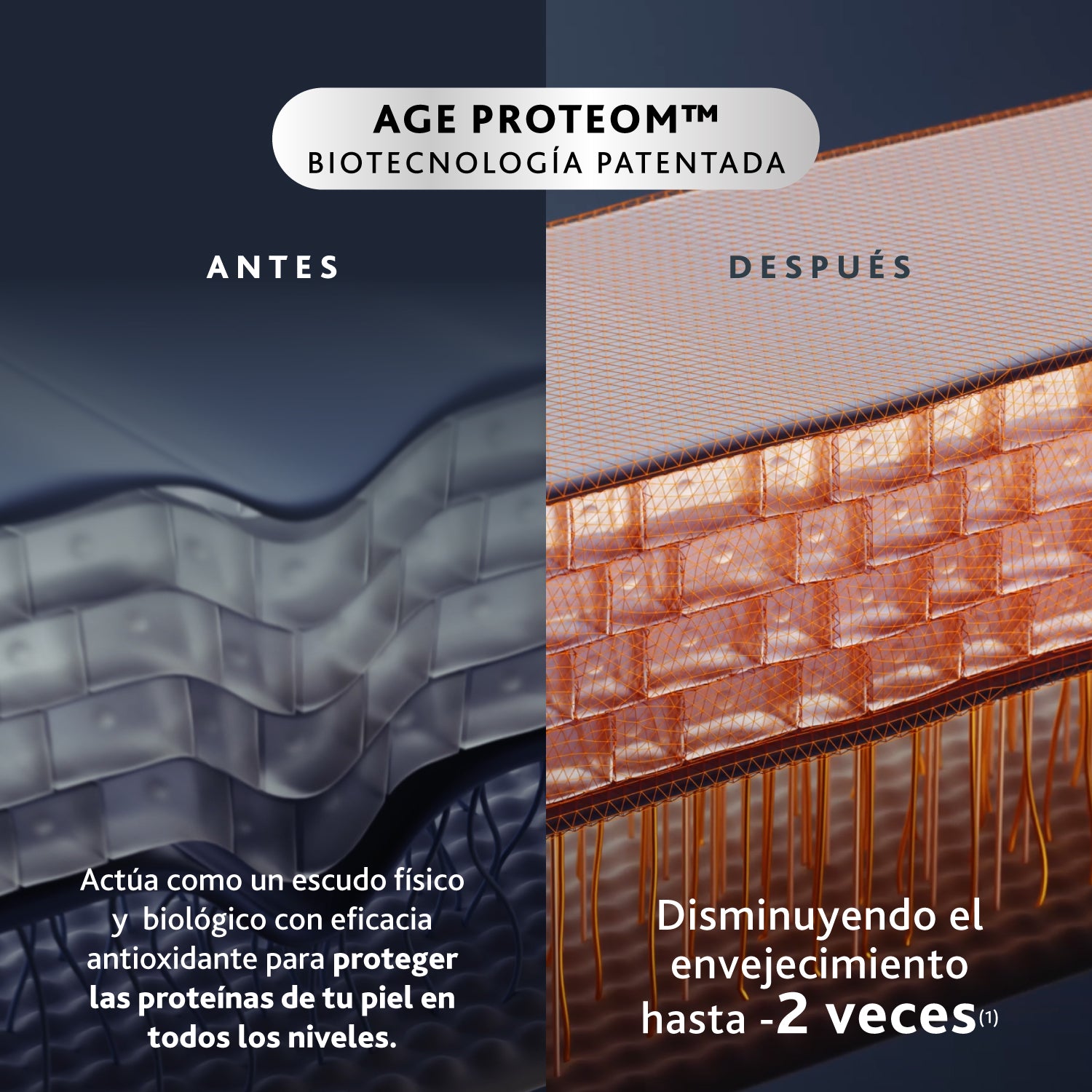 Institut Esthederm - Age Proteom™