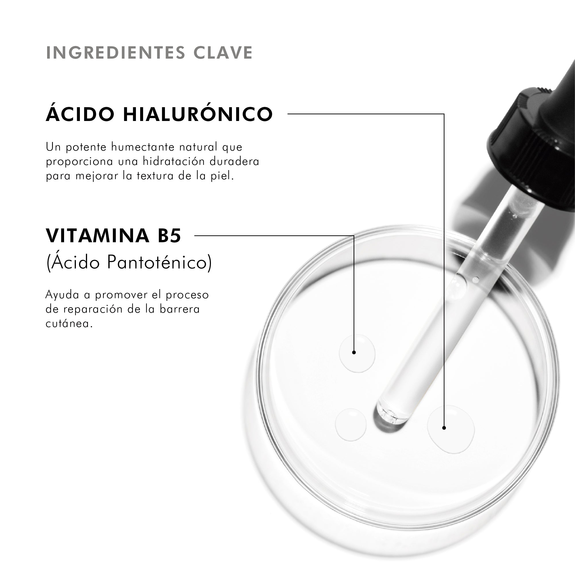 Skinceuticals Serum Hidratante Hydrating B5