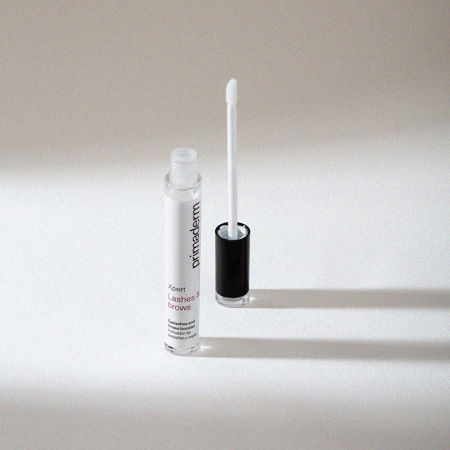 Xpert Lashes & Brows